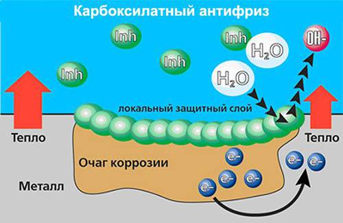 образование очагов коррозии